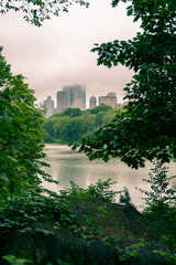 Fototapeta premium view from central park