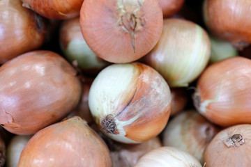 Onions at market