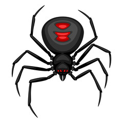 Black widow spider icon.