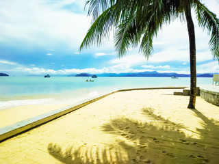 Fototapeta na wymiar Coconut tree or palm tree at viewpoint of tropical beach seaside and blue sky