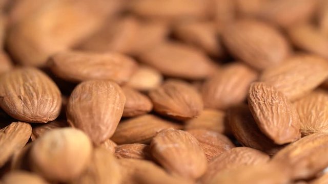 Slow peeled apricot pits fall on the table close-up