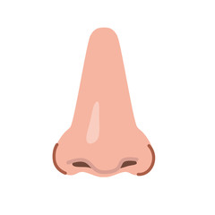 ボディパーツ　イラスト　鼻