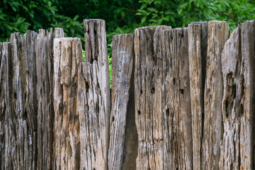 Wooden fence planks.
