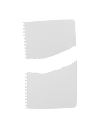 Notebook Lined Paper torn on white background