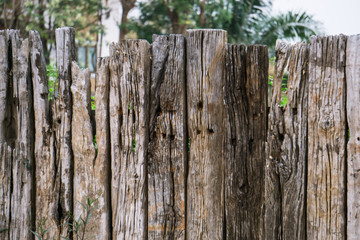 Wooden fence planks.