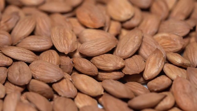 Macro shooting of apricot kernels heap. Slowly rotating on the turntable isolated on the white background. Close up. Full frame.