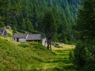 Mountain retreat in the forest