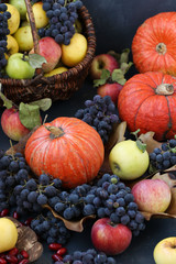 Obraz na płótnie Canvas Autumn composition with apples, grapes, pumpkin and dogwood located on a dark background, Autumn harvest, vertical photo
