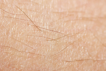 hairy legs before epilation with long black hair. Macro.