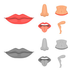 Vector design of body and part icon. Collection of body and anatomy stock vector illustration.