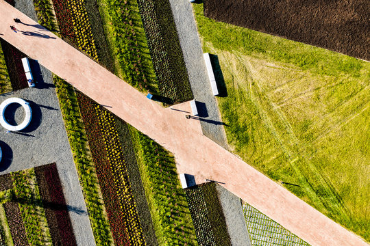 Graphic drawing. Landscape. Vivid colorful flower beds and a narrow diagonal footpath. on path are visible rare elongated the shadows people. The view from the top.
