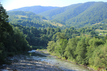 Fototapeta na wymiar A mountain river flows between the Carpathian mountains, in the village, on a summer day.