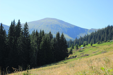 The slope on which is pasture for grazing sheep. Beautiful mountain landscape.