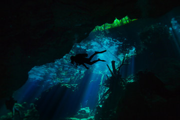 Obraz na płótnie Canvas Diving in the cenote underwater cave, Quintana roo