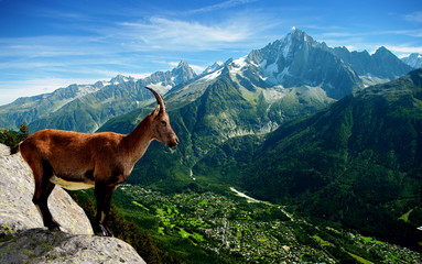 Erlebnis Natur