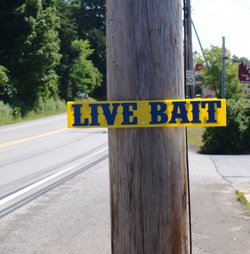 Live Bait Sign On A Pole Along A Road