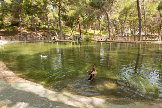 Reina Sofia Park Guardamar del Segura Costa Blanca Spain tourist attractionwith wildlife and gardens