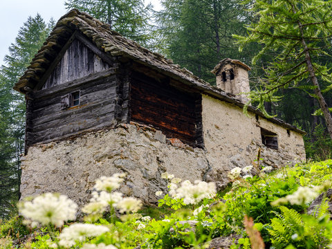 Mountain retreat in the forest
