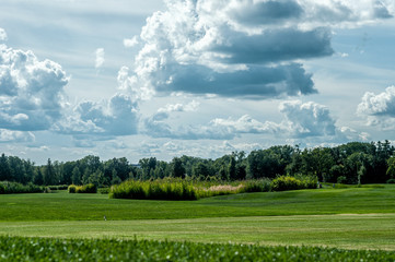 Golf Field in Mezhyhirya Park Kyiv Ukraine 2019