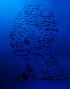 Man Portrait Made Out Of Underwater Fish School