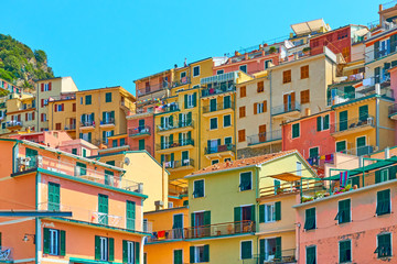 Houses on the slope in Manarola town in Cinque Terre