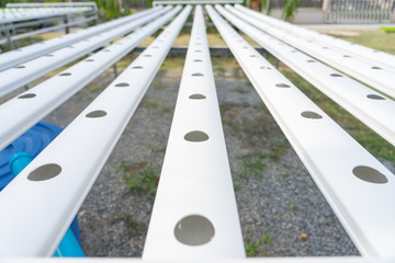Fototapeta premium Growing vegetables without using soil or calling another type Hydroponic Vegetable Growing The concept of organic vegetables, food, health, agriculture, limited space