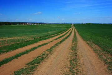 Fototapeta na wymiar Empty dirt country road in a green field