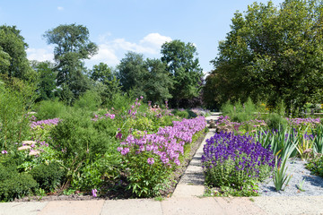 Blumen im Treptower Park in Berlin