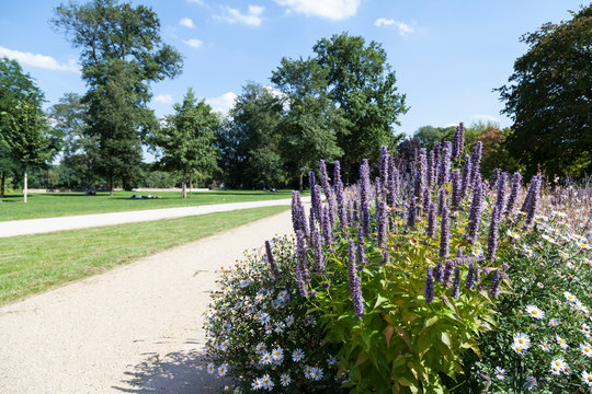Blumen im Treptower Park in Berlin