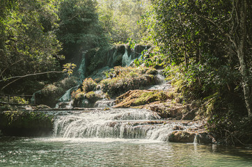 Cascades of a river streaming around the rocks surrounded by nature of a green forest on a...