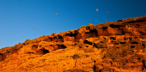 L'Illa Grossa, Reserva Natural Islas Columbretes, Mar Mediterráneo, Castellón, Comunidad...