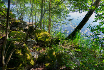 Fototapety na wymiar - Fototapeta24.pl