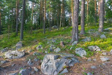 Fototapety na wymiar - Fototapeta24.pl