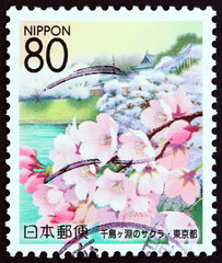 Cherry blossoms at Chidorigafuchi (Japan 2006)