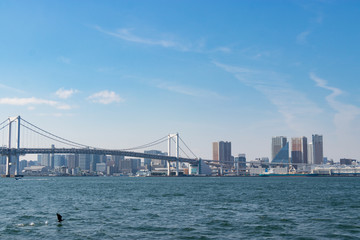 Fototapeta premium 豊洲ぐるり公園からの風景 東京都江東区豊洲