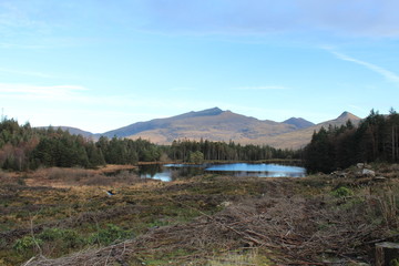 Snowdon from Beddgelert Forest