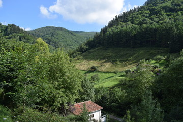 Fototapeta na wymiar Praderas verdes en un valle entre montañas con bosques frondosos.