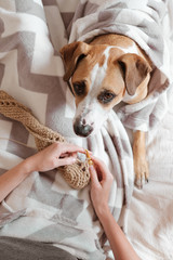 Spending time in bed and doing knitting, lazy cozy sleep-in concept. Female person lays in bed with...