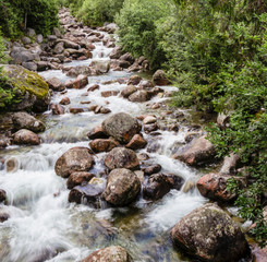 Tatra stream with beautiful crystal water and big stones flowing through forest.