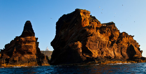 Senyoreta y Mancolibre, L'Illa Grossa, Reserva Natural Islas Columbretes, Mar Mediterráneo,...