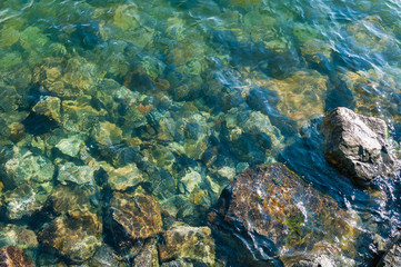 Clear water, puget sound