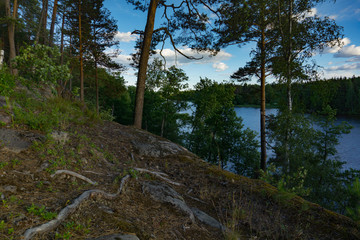 Fototapety na wymiar - Fototapeta24.pl