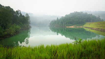 Jungle and lake landscape