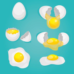 Modern vector illustration of Raw and broken chicken set eggs. Broken shells, scrambled, boiled. Cooking eggs. Healthy food.
