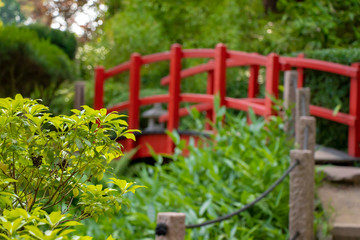 Japanischer Garten im Zen-Stil