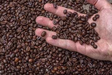 man holds in his hand roasted coffee beans.