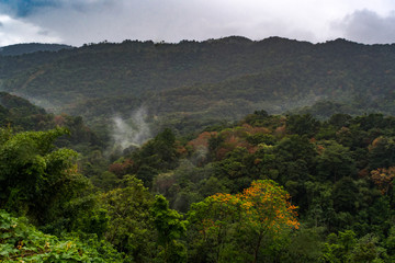 The Northern Range mountains, rainforest located on the island of Trinidad in the Caribbean.