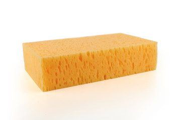 big orang sponge on white background