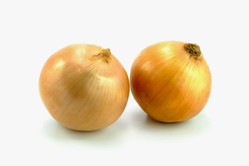  onion bulb on white