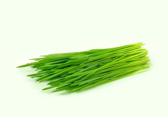 pile of wheat grass